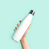 17oz Stainless Steel Bottle